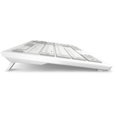 Sharkoon 4044951042340, Teclado blanco