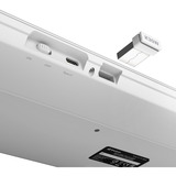 Sharkoon OfficePal K30W, Teclado blanco