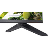 TCL 75T69C, TV QLED negro