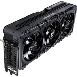 Gainward NE75090019R5-GB2020P, Tarjeta gráfica 