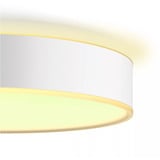 Philips Hue White Ambiance Devere Lámpara de techo M, Luz de LED plateado
