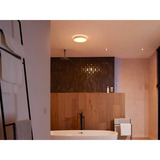 Philips Hue White Ambiance Devere Lámpara de techo M, Luz de LED plateado