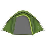 Coleman 2176905 Darwin 4 Plus, Tienda de campaña verde oscuro/Verde claro