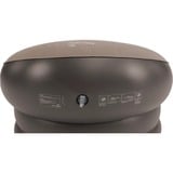 Easy Camp Sillón de camping Maple Chair marrón