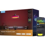 Govee Lámpara colgante, Luz de LED 