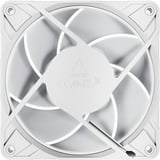 ARCTIC ACFAN00311A, Ventilador blanco