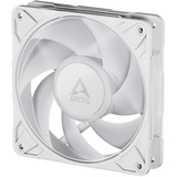 ARCTIC Freezer P12 Pro A-RGB (White) Carcasa del ordenador Ventilador 12 cm Blanco 3 pieza(s) blanco, Ventilador, 12 cm, 131 m³/h, Blanco