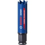 Bosch Expert 2608900419 sierra de corona Taladro 1 pieza(s) Sencillo, Taladro, Ladrillo, Plástico, Acero inoxidable, Azulejo, Madera, Azul, 6 cm, 2 cm