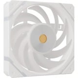 Valkyrie X12R ARGB 120, Ventilador blanco