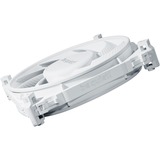 be quiet! Silent Wings 4 PWM 120x120x25, Ventilador blanco