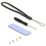 DeLOCK Carcasa externa M.2 NVMe PCle SSD, SATA SSD, Caja de unidades gris