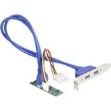 DeLOCK Convertidor M.2 Key B+M conector > 2 x USB 5 Gbps Tipo-A, Ampliación de interfaces 