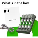 GP Batteries GPRCKCHB441U396, Cargador gris