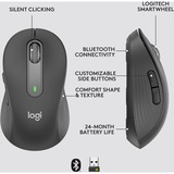 Logitech Signature M650 ratón mano derecha RF Wireless + Bluetooth Óptico 2000 DPI grafito, mano derecha, Óptico, RF Wireless + Bluetooth, 2000 DPI, Grafito