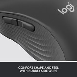 Logitech Signature M650 ratón mano derecha RF Wireless + Bluetooth Óptico 2000 DPI grafito, mano derecha, Óptico, RF Wireless + Bluetooth, 2000 DPI, Grafito