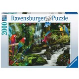 Ravensburger 17111 puzzle Puzzle rompecabezas 2000 pieza(s) Animales 2000 pieza(s), Animales