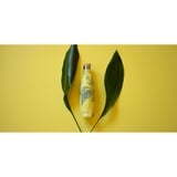 SIGG 8971.30 termo 0,5 L Multicolor, Botella thermo amarillo, 0,5 L, Multicolor, Acero inoxidable, 13 h, 24 h, Uso diario
