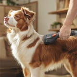 Thomas 787279, Accesorio de aspiradora negro/Gris