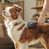 Thomas Set de cuidado del pelaje, 6 piezas, Accesorio de aspiradora negro/Gris