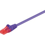 goobay 1m 2xRJ-45 Cable cable de red Violeta Cat6 violeta, 1 m, Cat6, RJ-45, RJ-45