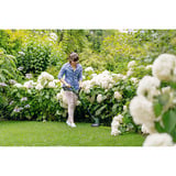 Bosch Recortadora de césped a batería EasyGrassCut 18-26, 18 voltios, carrete de hilo extra, Cortabordes verde/Negro