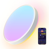 Govee 38cm Lámpara de techo inteligente RGBICWW Pro, Luz de LED 