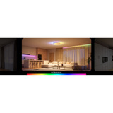 Govee 38cm Lámpara de techo inteligente RGBICWW Pro, Luz de LED 
