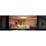 Govee 38cm Lámpara de techo inteligente RGBICWW Pro, Luz de LED 