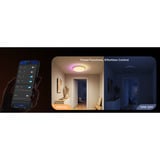 Govee 38cm Lámpara de techo inteligente RGBICWW Pro, Luz de LED 