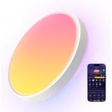 Govee 38cm Lámpara de techo inteligente RGBICWW Pro, Luz de LED 