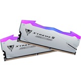 Patriot DIMM 48 GB DDR5-8000 (2x 24 GB) Kit dual, Memoria RAM negro