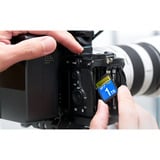 ADATA Premier Extreme SDXC SD8.0 1 TB, Tarjeta de memoria negro