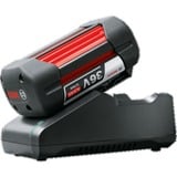 Bosch Set de inicio 36V (GBA 36V 4.0Ah + AL 36V-20), Conjunto negro