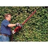 EINHELL GE-EH 6560 Cuchilla sencilla 650W 3400g, Cortasetos rojo/Negro, 650 W, 220-240, 3,4 kg