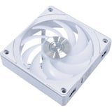 Lian Li 12CL1W3W, Ventilador blanco