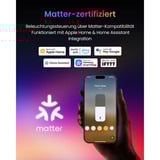 SwitchBot Lámpara de pie smarte Stehlampe, Lámpara LED negro