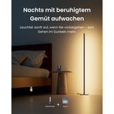 SwitchBot Lámpara de pie smarte Stehlampe, Lámpara LED negro