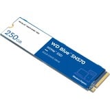 WD WD Blue SN570 M.2 250 GB PCI Express 3.0 NVMe, Unidad de estado sólido azul/blanco, 250 GB, M.2, 3300 MB/s