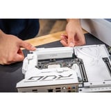 Crucial DIMM 32 GB DDR5-6400 (2x 16 GB) Kit dual, Memoria RAM blanco