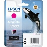 Epson C13T76034N10 cartucho de tinta 1 pieza(s) Original Magenta vivo Magenta vivo, 25,9 ml, 1 pieza(s), Pack individual
