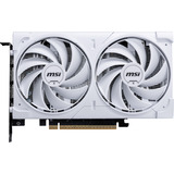 MSI V537-003R, Tarjeta gráfica 
