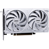 MSI V537-003R, Tarjeta gráfica 
