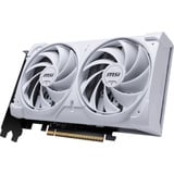 MSI V537-003R, Tarjeta gráfica 