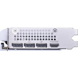 MSI V537-003R, Tarjeta gráfica 