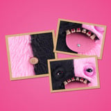 ZURU Fuggler - Baddie Fuggs, Peluches 3 año(s)