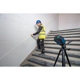 Bosch Láser de líneas GLL 80-33 G Professional azul/Negro