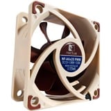 Noctua NF-A6x25 PWM Carcasa del ordenador Ventilador 6 cm Beige, Marrón Ventilador, 6 cm, 550 RPM, 3000 RPM, 19,3 dB, 29,2 m³/h