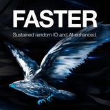 Seagate SkyHawk 1 TB, Unidad de disco duro 