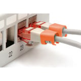 Digitus Clips de color para cables de parche - Naranja, Cubierta naranja