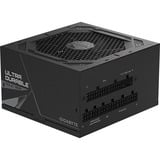 GIGABYTE GP-UD850GM PG5 V2, Fuente de alimentación de PC negro